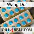 Hard Wang new08